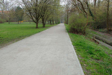Road at the parkの写真素材