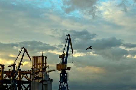 the sky in the evening and a bird flying silhouette construction crane