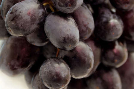 Grapes blue close up, kernels, round fruitのeditorial素材