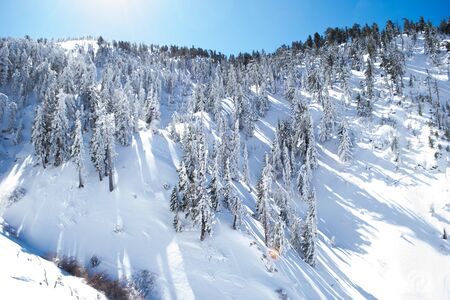 Snowy Mountains in San Gabriel National Monument, Los Angeles CAの写真素材