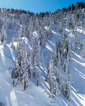 Snowy Mountains in San Gabriel National Monument, Los Angeles CAの写真素材