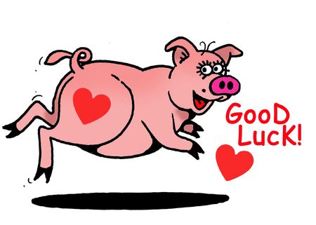 Good Luck, PiggY!の写真素材
