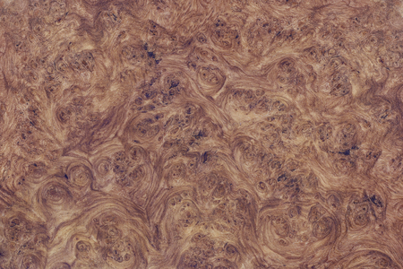 Afzelia wood burl nice exoticの写真素材