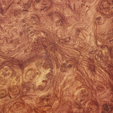 Amboyna wood exotic nice burlの写真素材