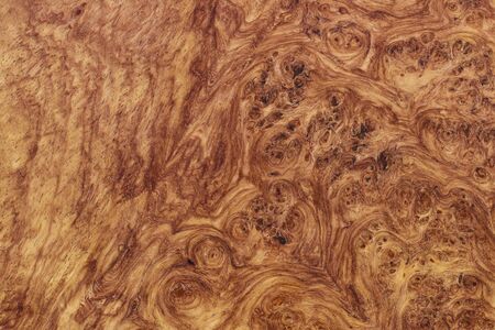 amboyna wood exotic burl strip wallpaper backgroundの写真素材