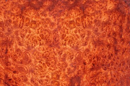 Amboyna wood burl Exotic For Picture Printsの写真素材