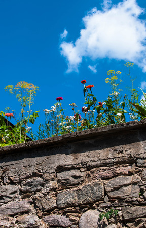 Flowers growing on the stone fence against the sky for your designの写真素材