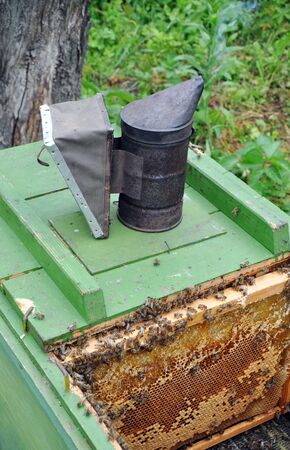 Apiary. Beekeeper equipment on hive