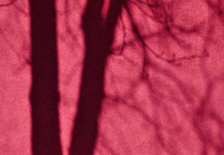 abstract background with pink plastered wall with shade of trees falling on it