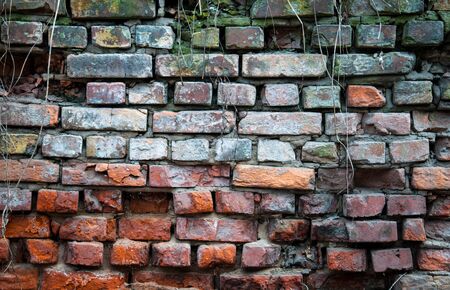 abstract background with stone wall for your design