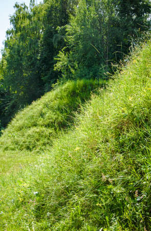Fantastic landscape with meadow and beautiful hills covered with lush green grass