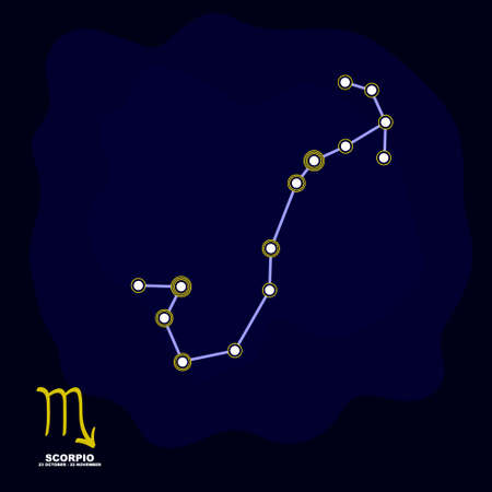 vector image with Scorpio zodiac sign and constellation of Scorpio for your project