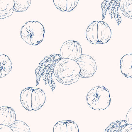 Vector seamless pattern with peach. Hand drawn textures. Elegant seamless botanical pattern for...