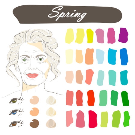 Stock vector seasonal color analysis palette with best colors for spring type of appearance. Face of a smiling attractive beautiful elderly woman with gray hairのイラスト素材
