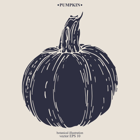 Vector hand drawn Pumpkin. Eps 10 botanical illustrationのイラスト素材
