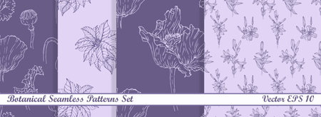 Collection of vector seamless vintage botanical patterns. Poppy, lilium, euphorbia. Hand drawn textures. Elegant seamless botanical patterns for paper, fabric, wallpaper, surface dのイラスト素材