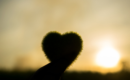 Silhouette green heart with sunset sky nature background.の写真素材