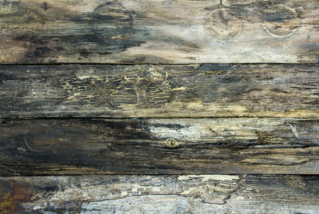 Vintage rough wooden planksの写真素材
