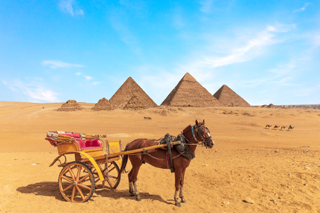 A horse with the cart in front of the Great Pyramids of Giza, Egyptの写真素材