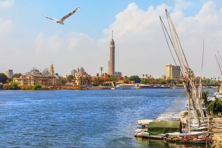 Yachts near the pier, the Nile and the Cairo Tower, Egyptの素材 [FY310137322746]