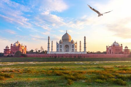 Taj Mahal, view from the Yamuna river, Agra, India.の素材 [FY310143499178]