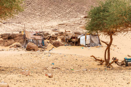 Typical bedouin's tents in the desert of Africa, Egypt.の写真素材