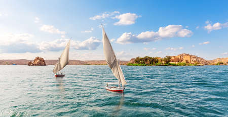 Sailboats of the Nile, Aswan banks, Egyptの写真素材