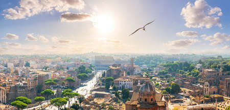 A seagull flies by the Capitoline Hill, Forum, Coliseum, Rome, Italyの写真素材