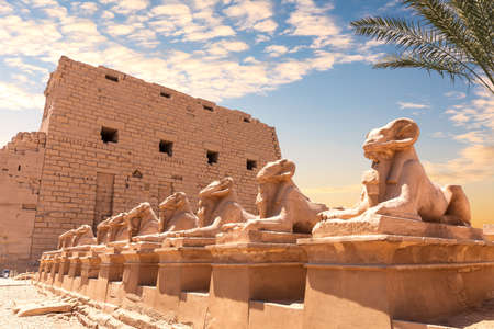 Karnak Temple, an avenue of human headed sphinxes, Luxor, Egypt.の写真素材