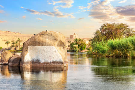 Banks of the Nile near Aswan, beautiful nature of Egyptの写真素材