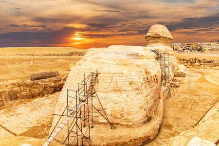 Beautiful sunset view on the back sight of the Great Sphinx and the buildings of Giza, Egypt.の写真素材