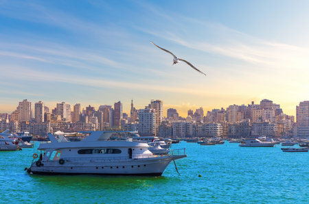 Alexandria harbor with boats and seagulls, beautiful seaside view, Egypt.の写真素材