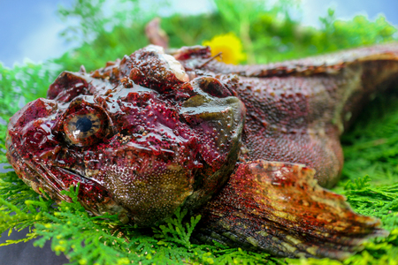 Stonefishの写真素材