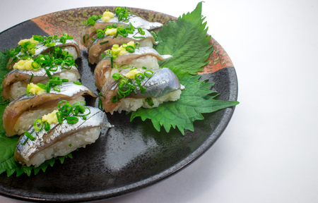 Saury of nigiri sushiの写真素材