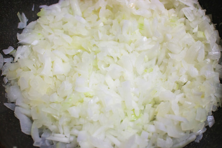 Chopped onionの写真素材