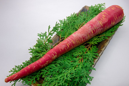 Kintoki carrotsの写真素材