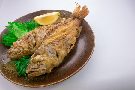 Fried Scorpion fishの写真素材