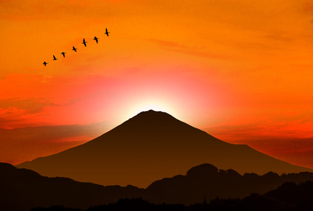 New year's card of Rooster year, Wild geese and Mt. Fujiの写真素材