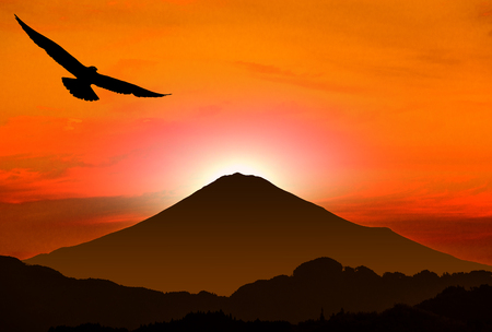 New year's card of Rooster year, Hawk and Mt. Fujiの写真素材