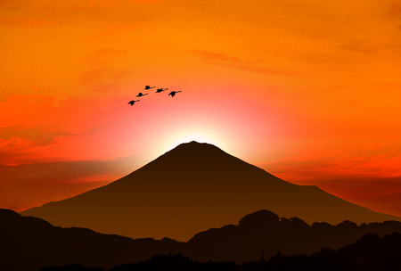 New Year's card of the Rooster year, Cranes and Mt.Fujiの写真素材