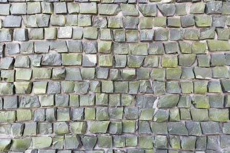 Green (olive) smalt on gray cement.の写真素材