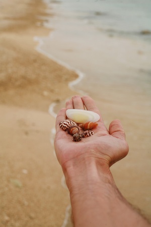 beautiful ocean mood on a warm but cloudy dayの写真素材
