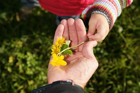 A child give its a parent a spring flower.の写真素材