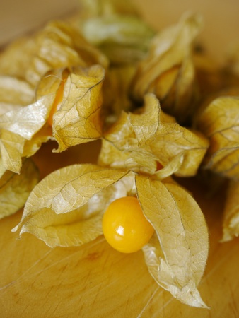 fresh Physalis on a wooden surface tableの写真素材