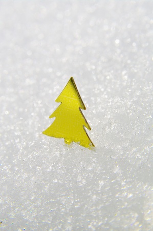 golden trees on a real snowy icy surfaceの写真素材