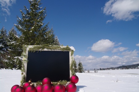 a decorated screen in snowy winter landscape