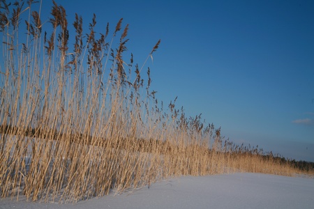 Details of a beautiful snow surface perfect for backgrounds on greeting cards etc.の写真素材