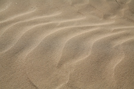 Picture of a sand dune good for backgroundの写真素材