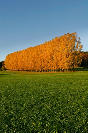 beautiful autumn moodの写真素材
