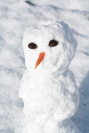 beautiful winter mood. snowman in winter.の写真素材